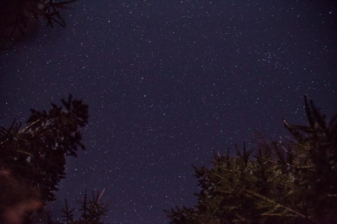 Konak 1400 Tara Mokra Gora Exteriör bild