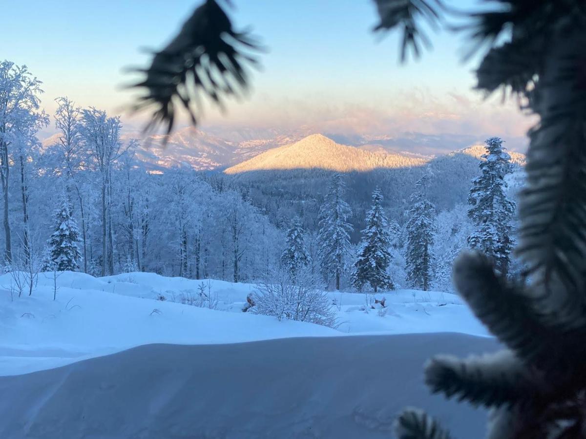 Konak 1400 Tara Mokra Gora Exteriör bild