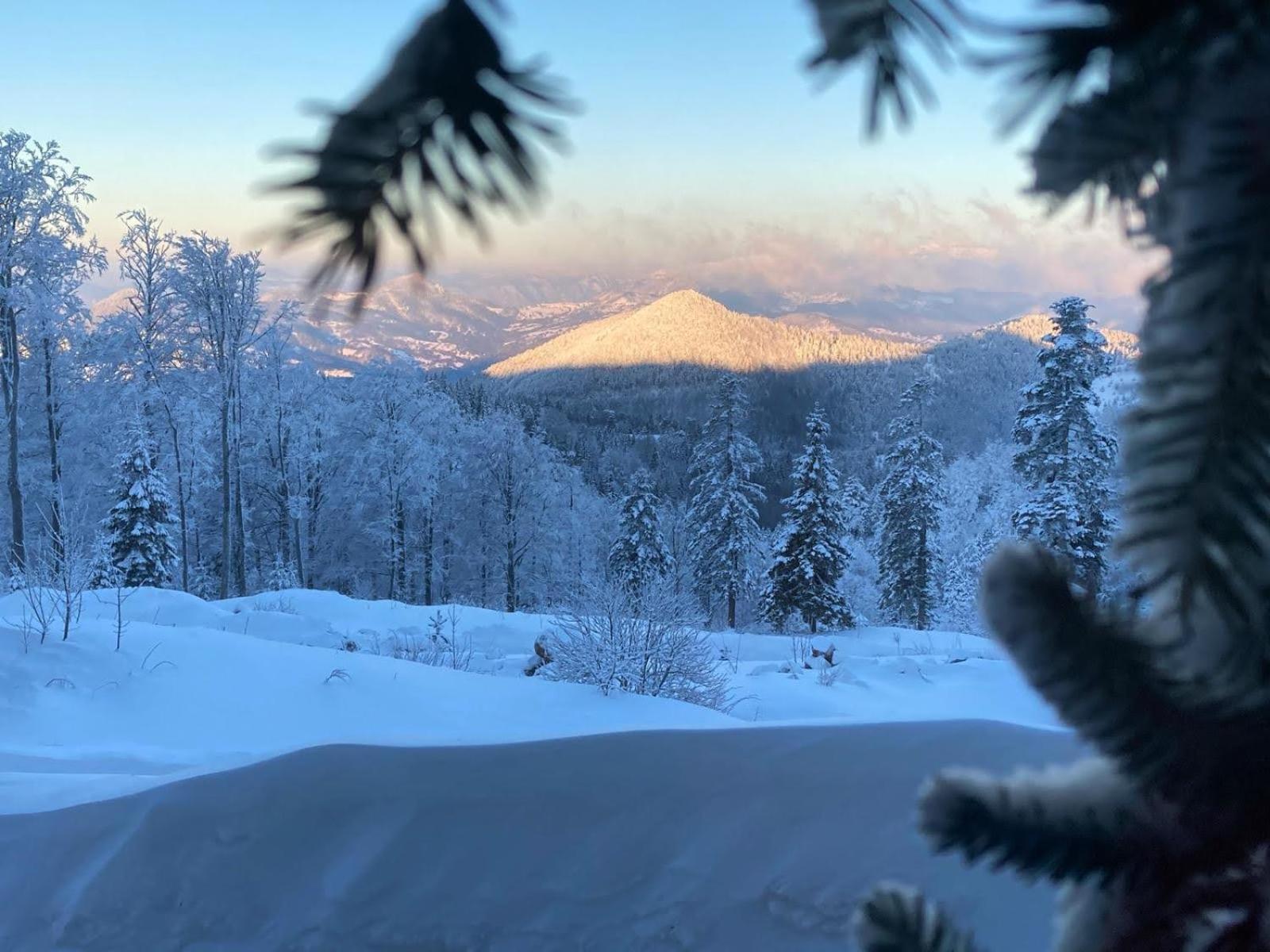 Konak 1400 Tara Mokra Gora Exteriör bild